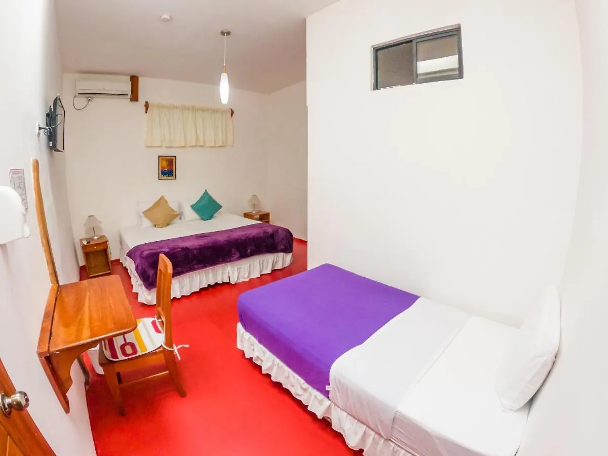 Casa Fragata Hotel Puerto Ayora  Pensión